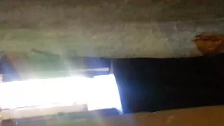 Pussy Pussy's Pussy